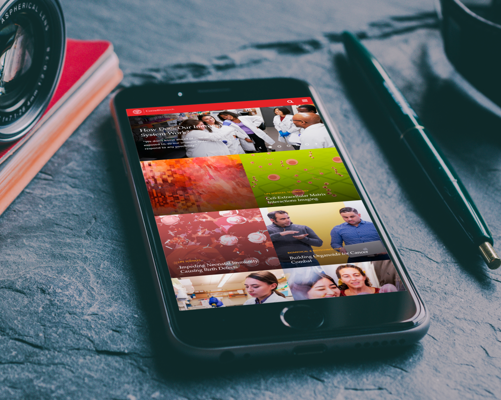 Cornell University Office of Research