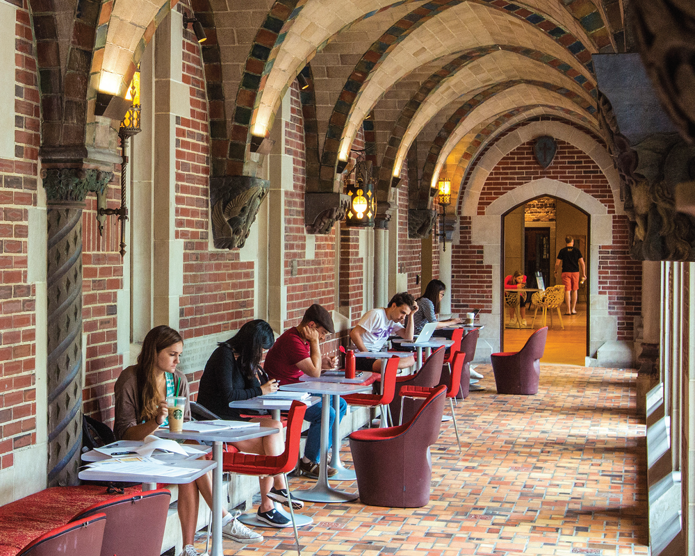 University of Chicago Division of Social Sciences 12345