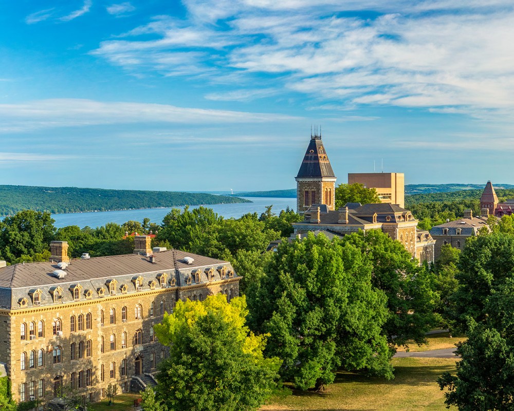 Cornell University Office of the Human Resources test12